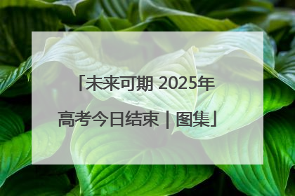 未来可期 2025年高考今日结束｜图集