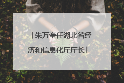 朱万奎任湖北省经济和信息化厅厅长