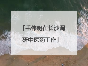 毛伟明在长沙调研中医药工作