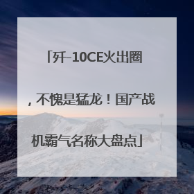 歼-10CE火出圈，不愧是猛龙！国产战机霸气名称大盘点