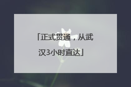 正式贯通，从武汉3小时直达