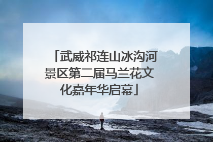 武威祁连山冰沟河景区第二届马兰花文化嘉年华启幕