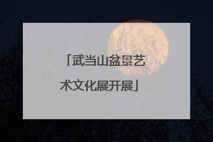 武当山盆景艺术文化展开展
