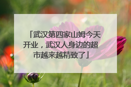 武汉第四家山姆今天开业，武汉人身边的超市越来越精致了