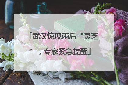 武汉惊现雨后“灵芝”，专家紧急提醒