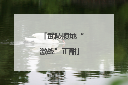 武陵腹地“激战”正酣