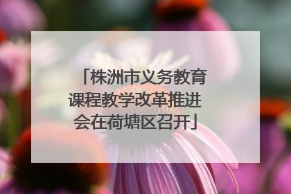 株洲市义务教育课程教学改革推进会在荷塘区召开