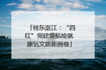 桂东沤江：“四红”党建领航绘就康氧文旅新画卷