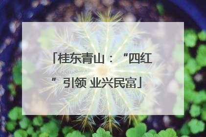 桂东青山：“四红”引领 业兴民富