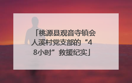 桃源县观音寺镇会人溪村党支部的“48小时”救援纪实