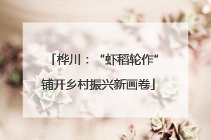桦川：“虾稻轮作”铺开乡村振兴新画卷