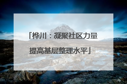 桦川：凝聚社区力量 提高基层整理水平