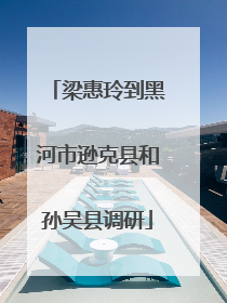 梁惠玲到黑河市逊克县和孙吴县调研