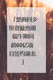 楚商回乡投资掀热潮 端午期间超60亿项目签约湖北