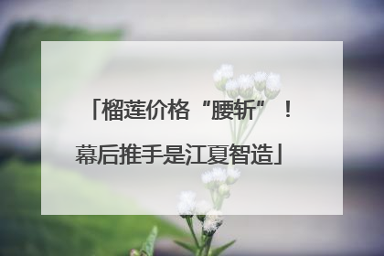 榴莲价格“腰斩”！幕后推手是江夏智造