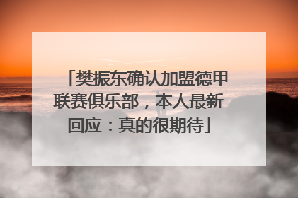 樊振东确认加盟德甲联赛俱乐部，本人最新回应：真的很期待