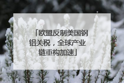 欧盟反制美国钢铝关税，全球产业链重构加速