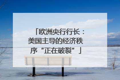欧洲央行行长：美国主导的经济秩序“正在破裂”