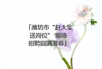 潍坊市“赶大集 送岗位” 现场招聘圆满落幕