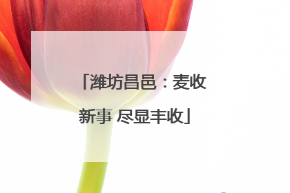 潍坊昌邑：麦收新事 尽显丰收
