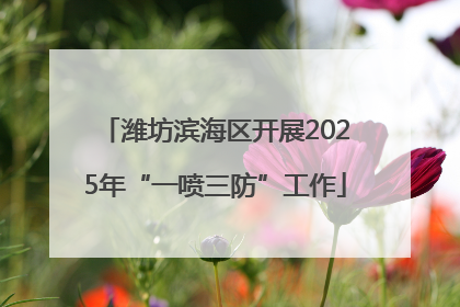 潍坊滨海区开展2025年“一喷三防”工作