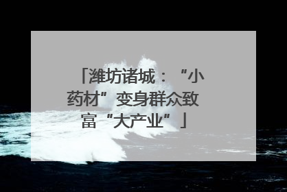 潍坊诸城：“小药材”变身群众致富“大产业”
