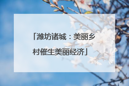 潍坊诸城：美丽乡村催生美丽经济