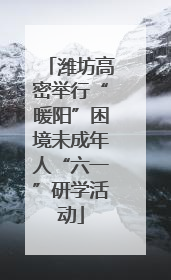 潍坊高密举行“暖阳”困境未成年人“六一”研学活动