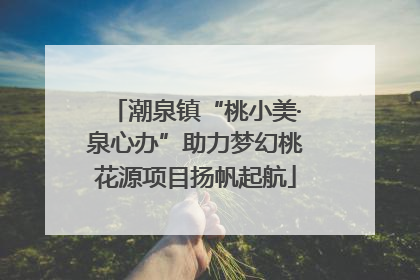 潮泉镇“桃小美·泉心办”助力梦幻桃花源项目扬帆起航