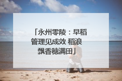 永州零陵：早稻管理见成效 稻浪飘香穗满田