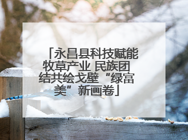 永昌县科技赋能牧草产业 民族团结共绘戈壁“绿富美”新画卷