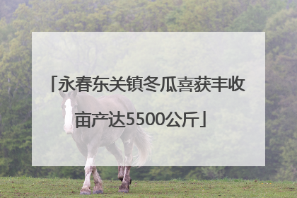 永春东关镇冬瓜喜获丰收 亩产达5500公斤