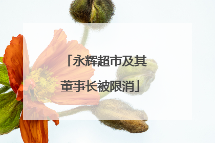 永辉超市及其董事长被限消