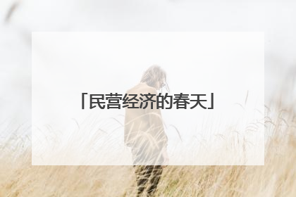 民营经济的春天
