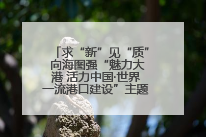 求“新”见“质” 向海图强“魅力大港 活力中国·世界一流港口建设”主题宣传活动走进山东