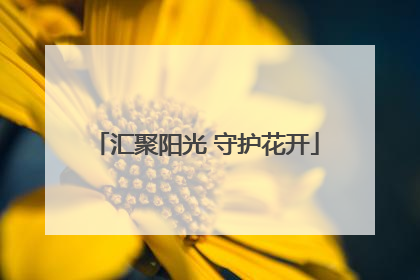 汇聚阳光 守护花开