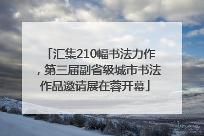 汇集210幅书法力作，第三届副省级城市书法作品邀请展在蓉开幕