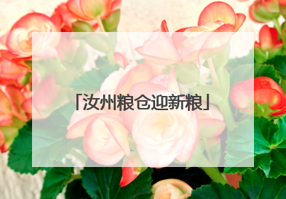汝州粮仓迎新粮