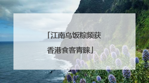 江南乌饭粽频获香港食客青睐