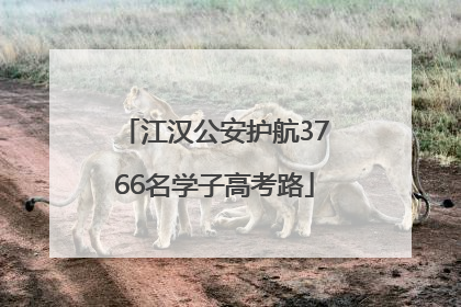 江汉公安护航3766名学子高考路