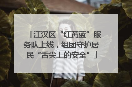 江汉区“红黄蓝”服务队上线，组团守护居民“舌尖上的安全”