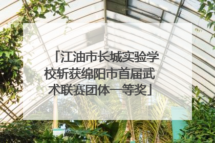 江油市长城实验学校斩获绵阳市首届武术联赛团体一等奖