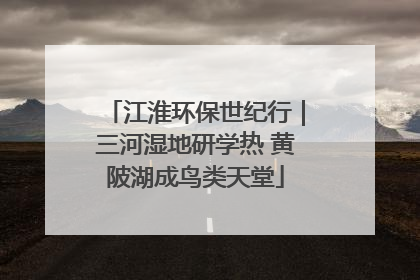 江淮环保世纪行｜三河湿地研学热 黄陂湖成鸟类天堂