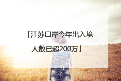 江苏口岸今年出入境人数已超200万