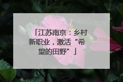 江苏南京：乡村新职业，激活“希望的田野”