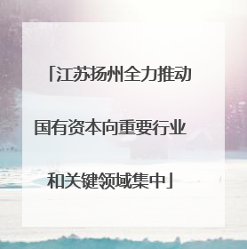 江苏扬州全力推动国有资本向重要行业和关键领域集中