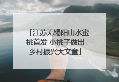 江苏无锡阳山水蜜桃首发 小桃子做出乡村振兴大文章