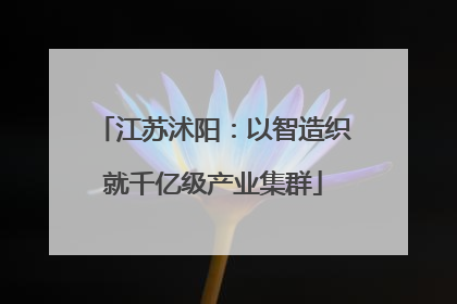 江苏沭阳：以智造织就千亿级产业集群