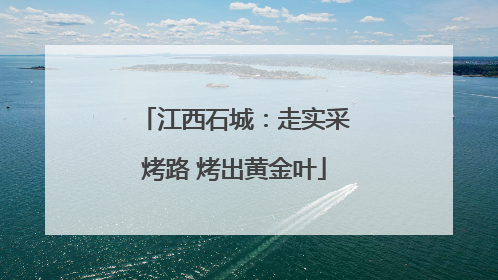 江西石城：走实采烤路 烤出黄金叶