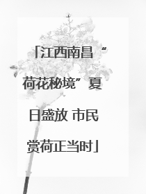 江西南昌“荷花秘境”夏日盛放 市民赏荷正当时